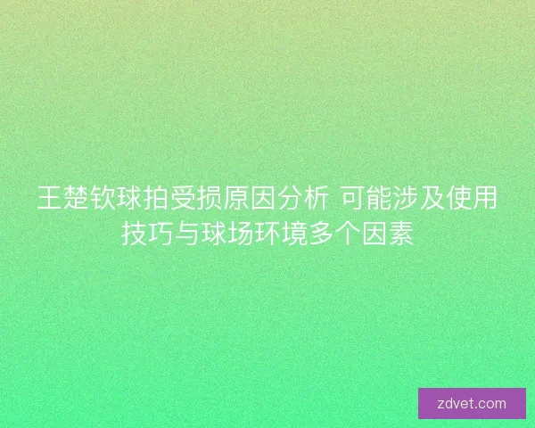 王楚钦球拍受损原因分析 可能涉及使用技巧与球场环境多个因素