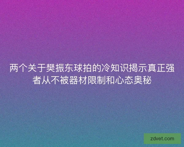 两个关于樊振东球拍的冷知识揭示真正强者从不被器材限制和心态奥秘