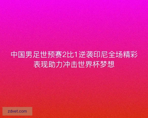 中国男足世预赛2比1逆袭印尼全场精彩表现助力冲击世界杯梦想